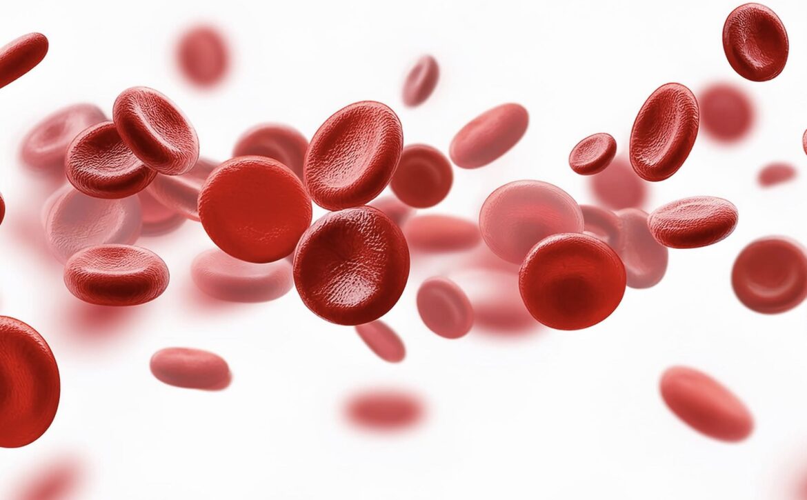 Image 26-10-2024 at 4.04 AM